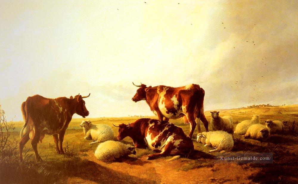 Rind und Schaf in einer Landschaft Bauernhof Tiere Rinder Thomas Sidney Cooper Ölgemälde